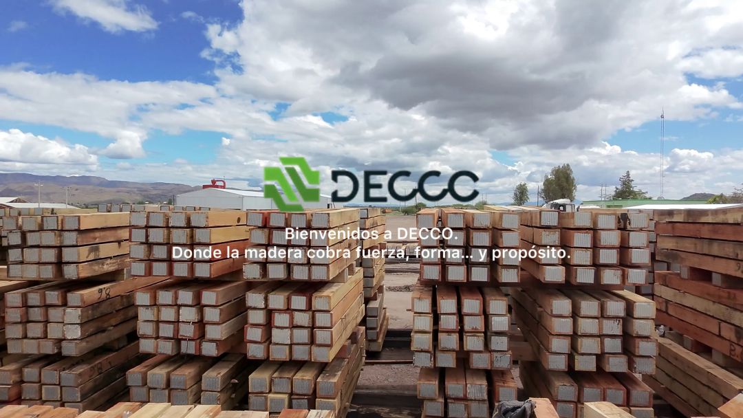 servicios